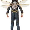 Rubies Costume Co. Inc Ant-Man Wasp Wings