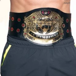 Fun World Wrestling Champion Belt