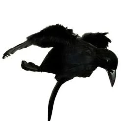 Western Fashion Halloween Crow Headband