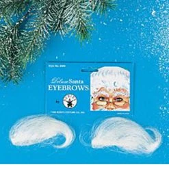 Rubies Costume Co. Inc Deluxe Santa Eyebrows