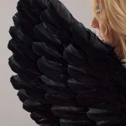 Armada Fallen Black Angel Costume Wings -Cheap Halloween Store fallen black angel wings alt 2