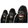 California Costume Collection Goin Ape Gorilla Mask