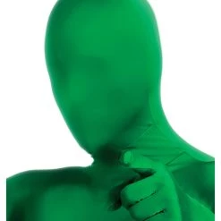 Rubies Costume Co. Inc Green 2nd Skin Mask