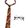 BuyCostumes Deluxe Harry Potter Accessory Set