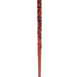 Disguise Harry Potter Hermione Wand