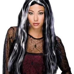 Rubies Costume Co. Inc Black And White Streaked Long Wig