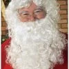 Rubies Costume Co. Inc Santa Wig And Beard