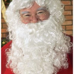 Rubies Costume Co. Inc Santa Wig And Beard