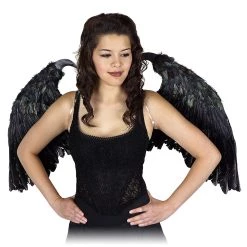 Zucker Feather Small Maleficent-Inspired Feather Wings