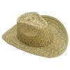 Forum Novelties, Inc Straw Adult Cowboy Hat