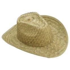 Forum Novelties, Inc Straw Adult Cowboy Hat