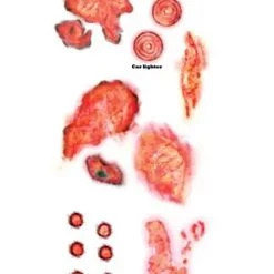 Tinsley Transfers Trauma Burned Temporary Costume Tattoo -Cheap Halloween Store trauma burned temporary tattoo alt 2