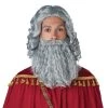 California Costume Collection Wise Man Gray Wig And Beard For Men