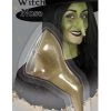 Seasons (HK) Ltd. Prosthetic Witch Nose Accessory