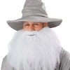 Seasons (HK) Ltd. Wizard Beard And Mustache Accessory